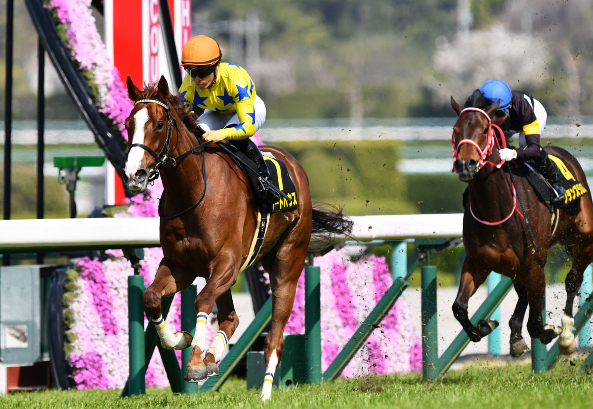現場ノート ４月１０日 日 アートハウス オークスの有力候補誕生 競馬ニュース 特集なら東スポ競馬