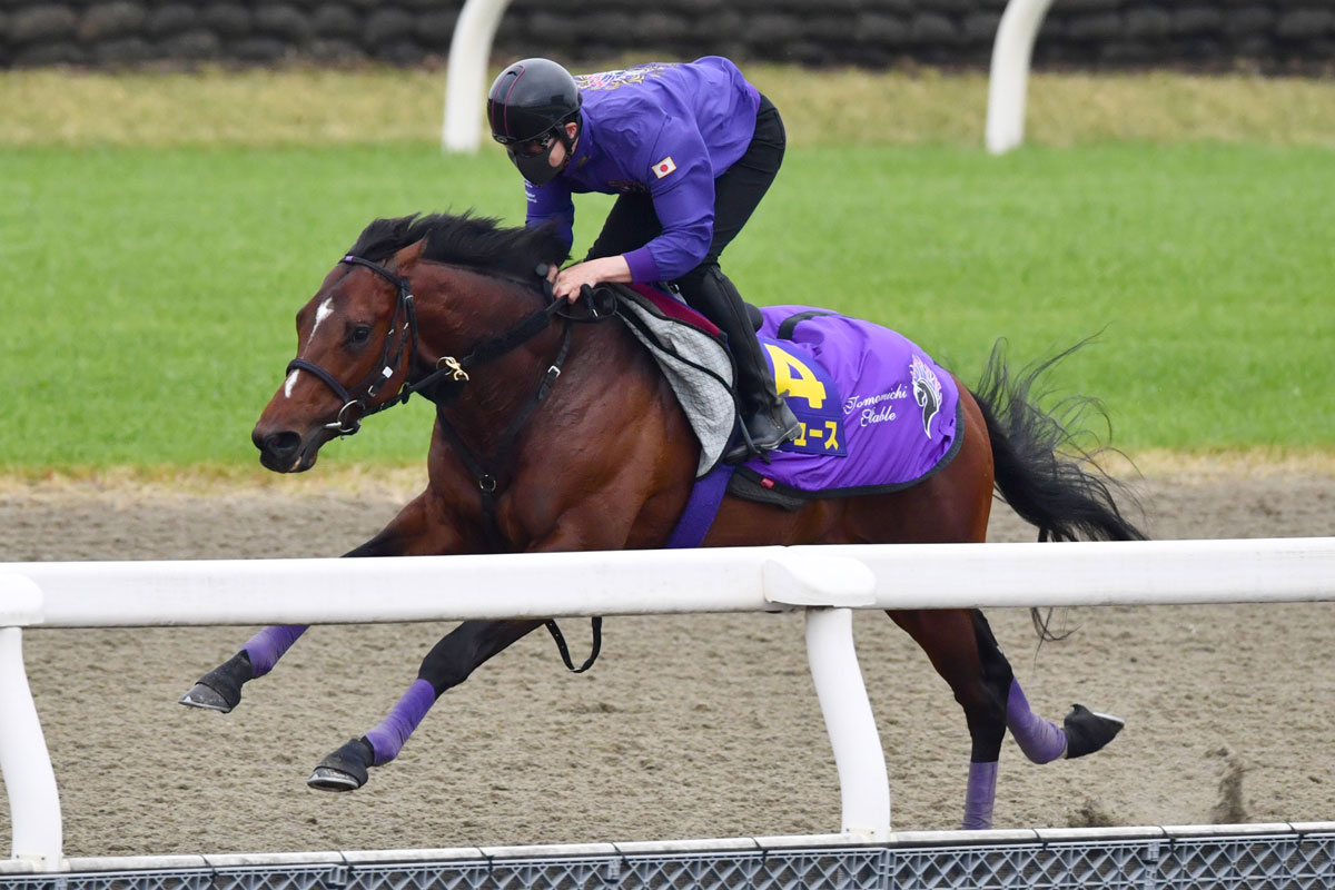 皐月賞追い切り】ドウデュース豪快にラスト11・1秒 友道調教師