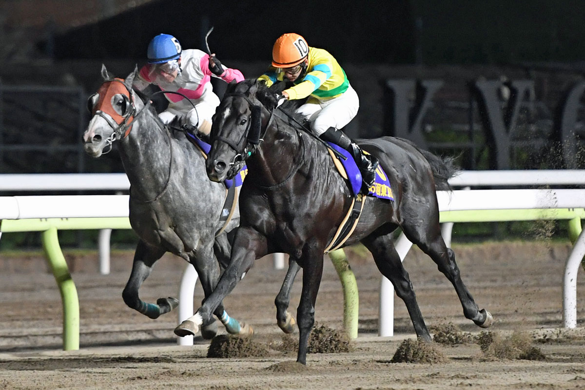 大井競馬 東京スプリント 主役はリュウノユキナ 史上初の連覇へ視界は良好 競馬ニュース 特集なら東スポ競馬