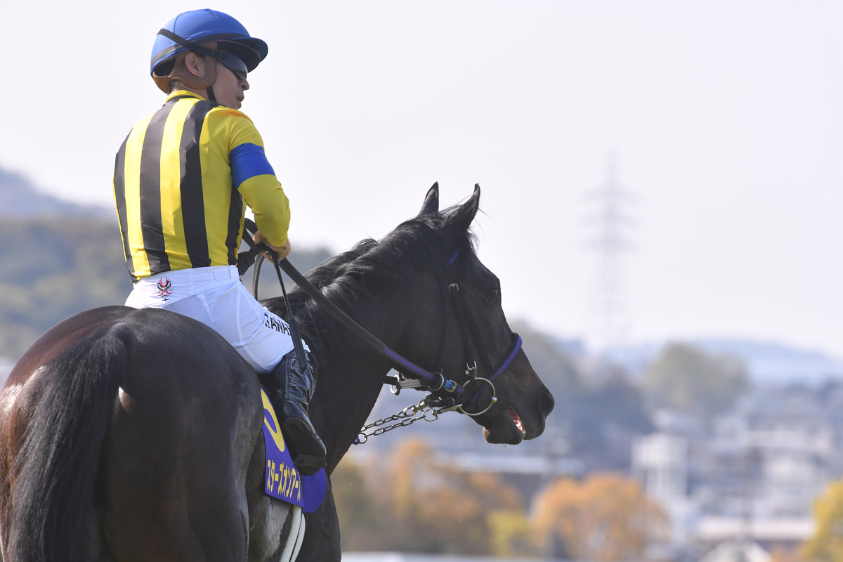 オークス登録馬 桜花賞馬スターズオンアースはルメールと新コンビ 忘れな草賞勝ち馬アートハウスは鞍上 川田で参戦 競馬ニュース 特集なら東スポ競馬
