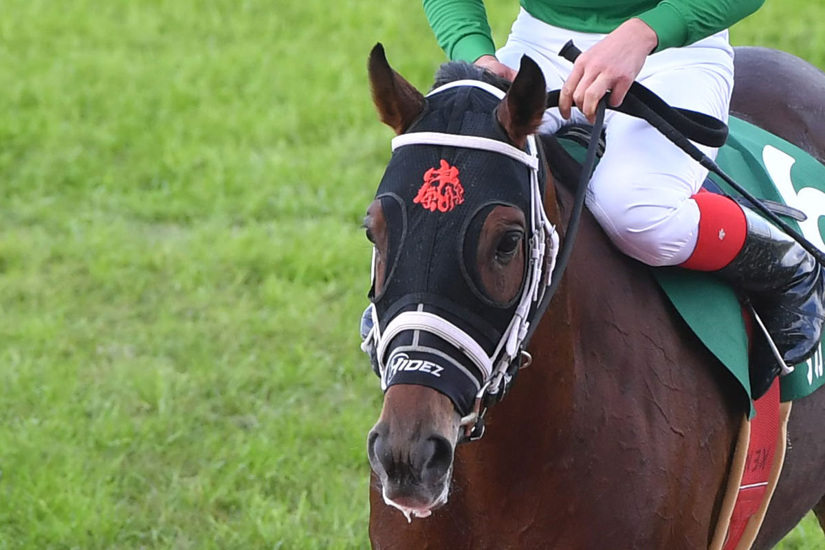 京都ハイジャンプ 競馬ニュース 特集なら東スポ競馬