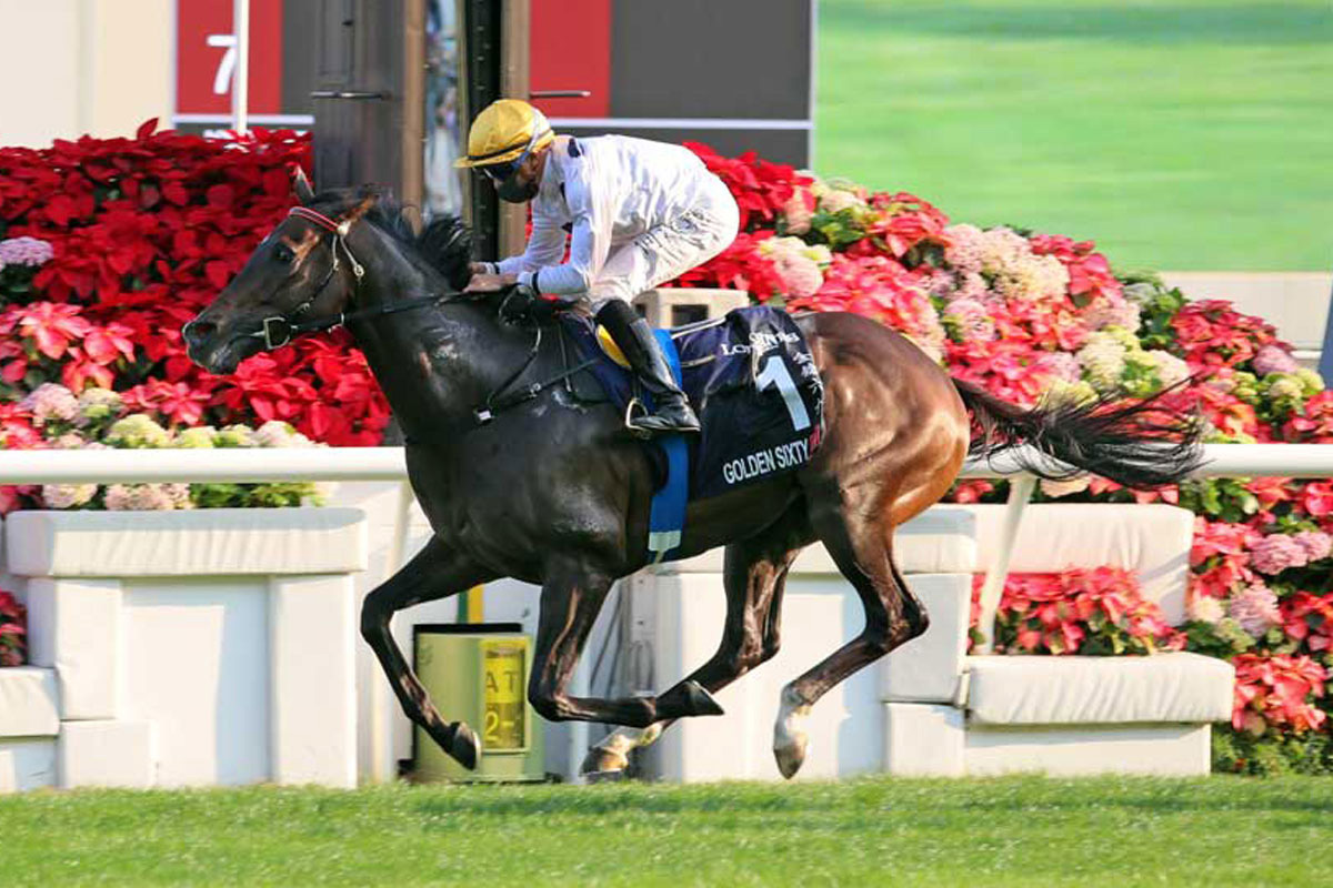 香港現役最強マイラー ゴールデンシックスティが安田記念回避か 現地メディア報道 競馬ニュース 特集なら東スポ競馬