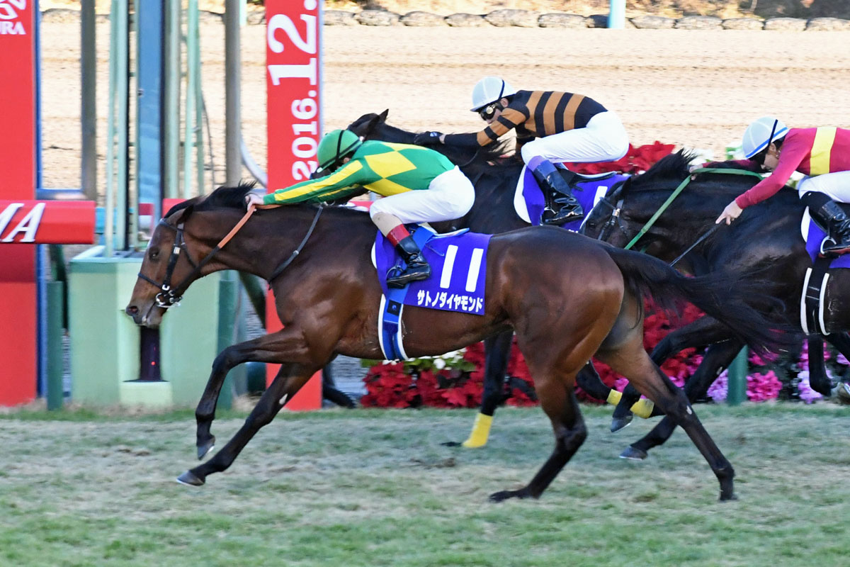 サトノ ダイヤモンド 有馬 記念