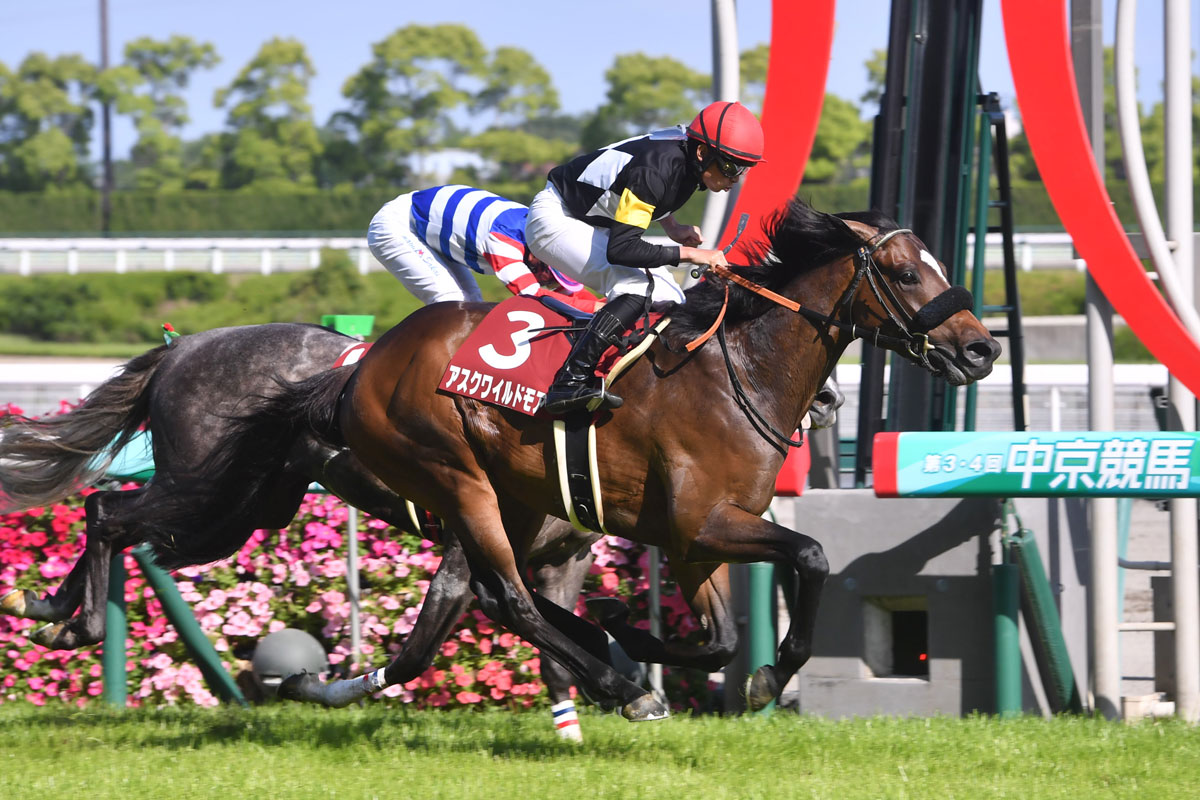 日本ダービー】何度目の〝キンカメ〟か！ 春のGⅠ6連勝中 今週も