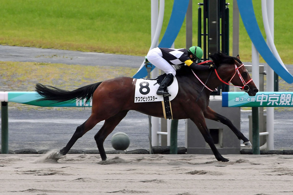 3歳未勝利 | 成績・傾向 | レース結果・予想情報なら東スポ競馬