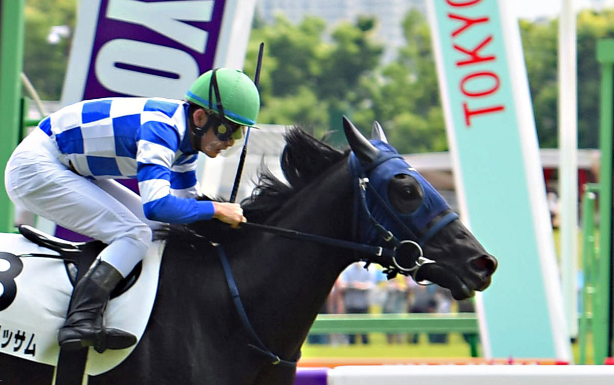 新馬勝ち２歳総点検 超高額馬の猛追しのいだオンザブロッサム 新馬とは思えない精神力 競馬ニュース 特集なら東スポ競馬