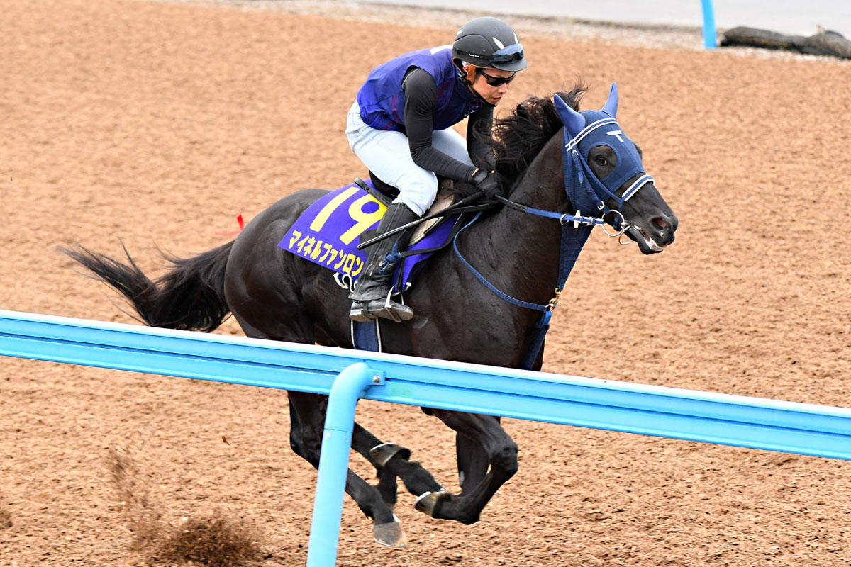 宝塚記念追い切り 古豪マイネルファンロン気合満点１１ ７秒 手塚調教師 ステイゴールド産駒らしく使い込むことで馬が集中してきた 競馬ニュース 特集なら東スポ競馬