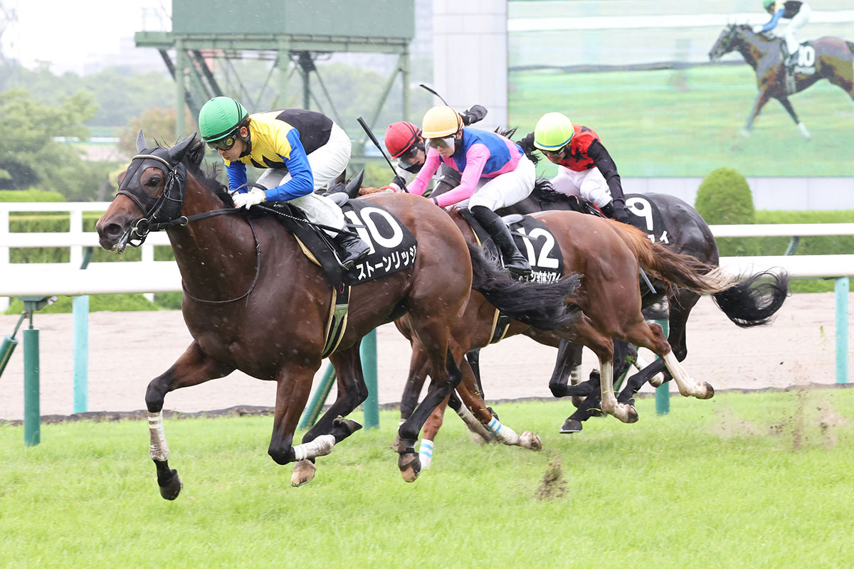 現場ノート ６月２５日 土 ポツン 追走１０着のメイショウシンタケ この敗戦は度外視 競馬ニュース 特集なら東スポ競馬