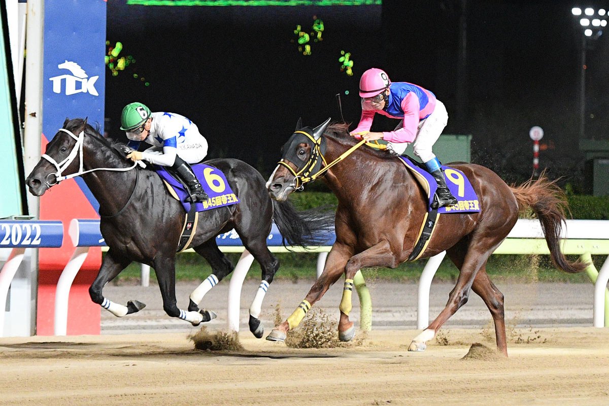 大井競馬・帝王賞】強豪撃破！メイショウハリオが砂の新王者に V導い