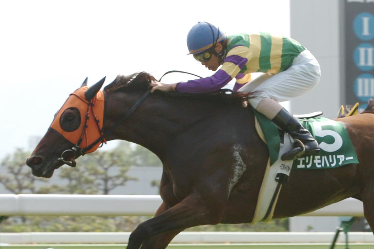 １９９８年 函館記念 夏は牝馬 の格言を覆す北の名物レース 最後の勝利は洋芝への適性を示したパルブライト 競馬ニュース 特集なら東スポ競馬