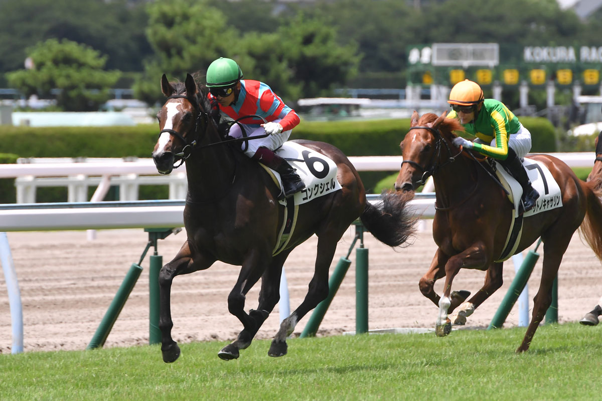 ２歳新馬 キズナ産駒コンクシェルが力強い伸び脚で快勝 福永祐一 奥がありそうで楽しみです 競馬ニュース 特集なら東スポ競馬