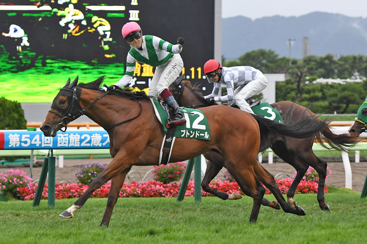 【現地的中】単勝馬券1994年スプリンターズSサクラバクシンオー引退レース！ 現地的中】単勝馬券1994年スプリンターズSサクラバクシンオー引退