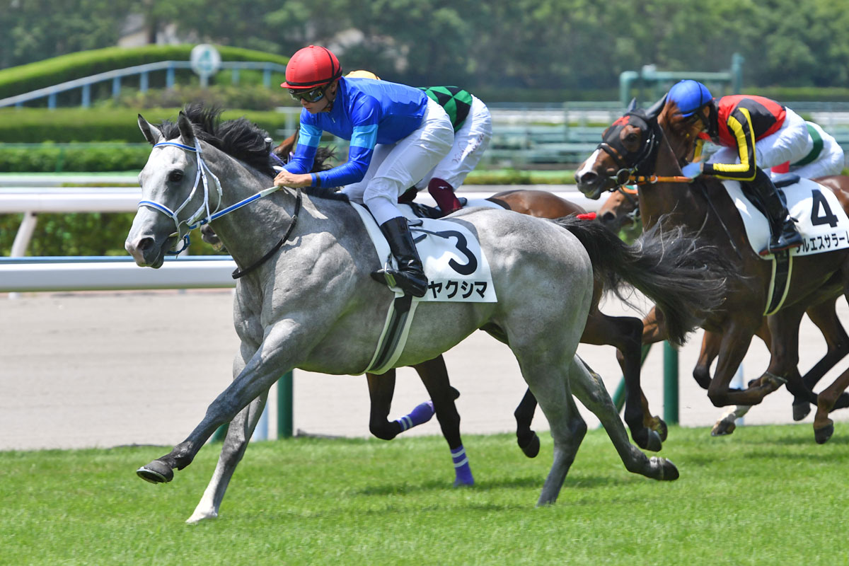 ２歳新馬 外国産馬ヤクシマが差し切り勝ち 岩田望 落ち着いて走れたことが最後の伸びにつながりました 競馬ニュース 特集なら東スポ競馬