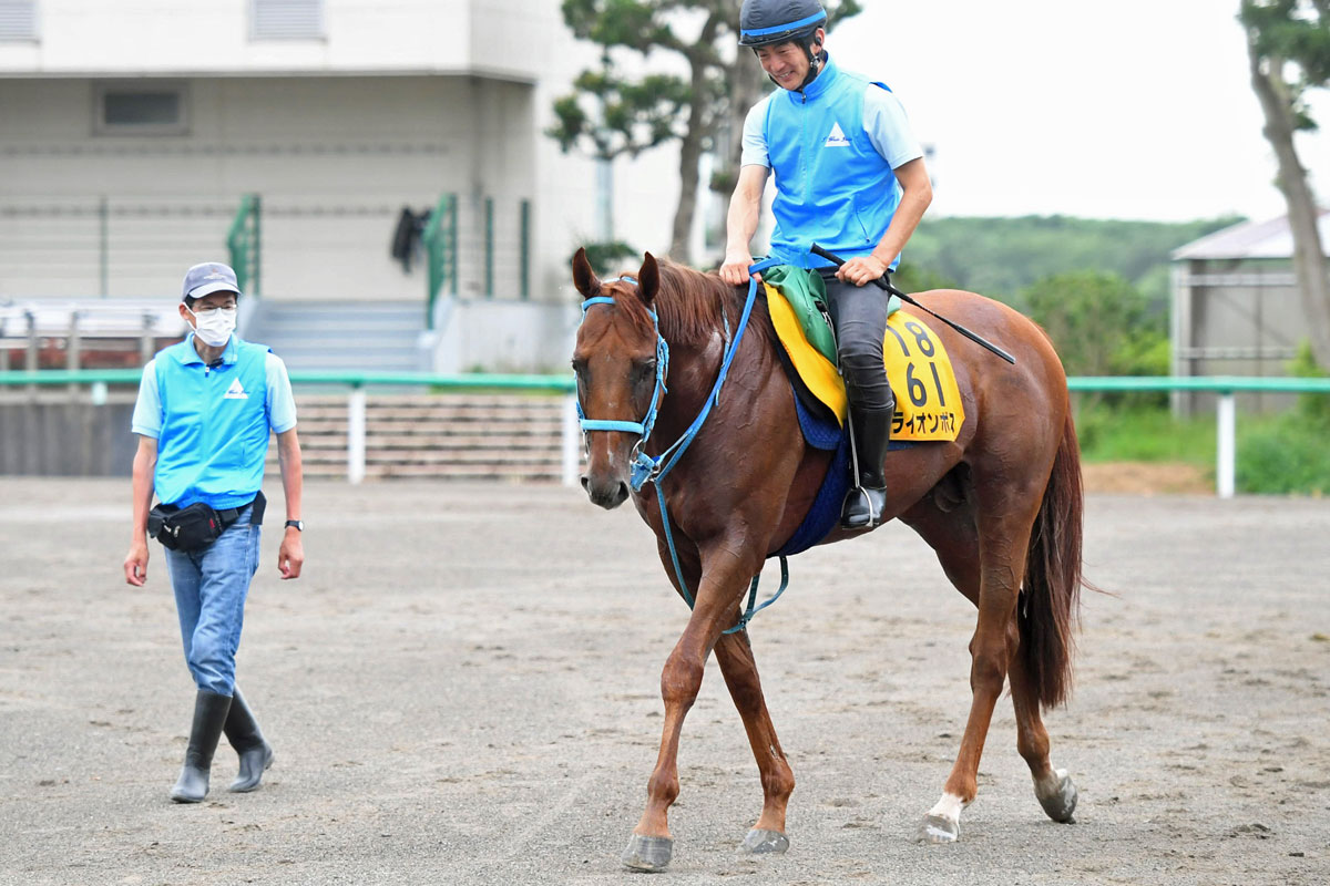ライオンボス　実使用　ゼッケン　新潟競馬場　アイビスサマーダッシュ アイビスサマーダッシュ火曜情報】昨年2着のライオンボスは58キロが