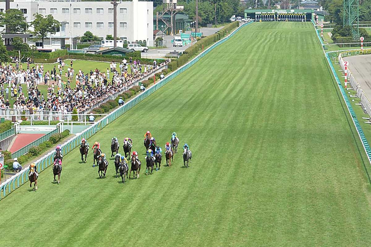 アイビスサマーダッシュ】外枠天国というけれど…「大外」の意外な