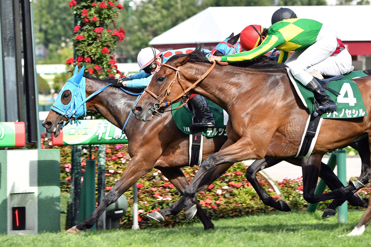 今日 の 競馬 の 結果