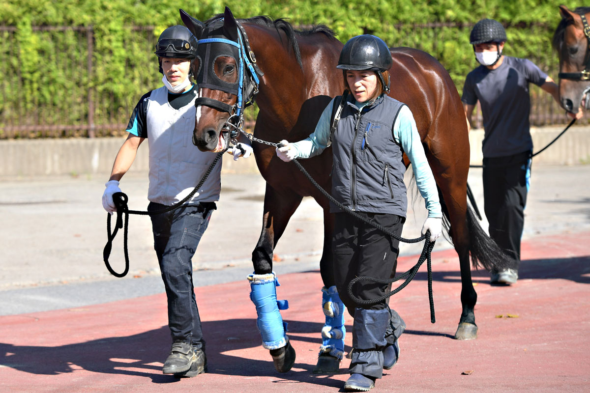 オニャンコポンが美浦トレセンへ帰厩 ９ １９セントライト記念から始動 小島調教師 成長した姿を見せてくれれば 競馬ニュース 特集なら東スポ競馬