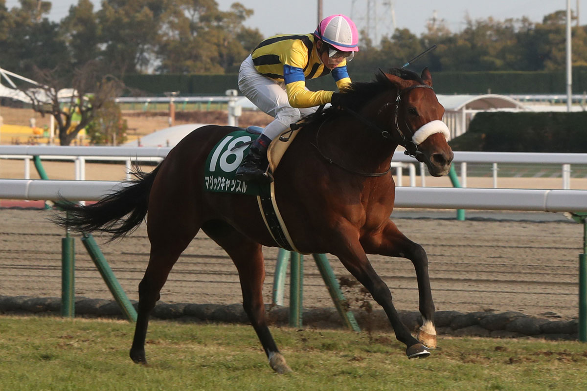 マジックキャッスルが競走馬登録を抹消 21年愛知杯勝ち馬 社台
