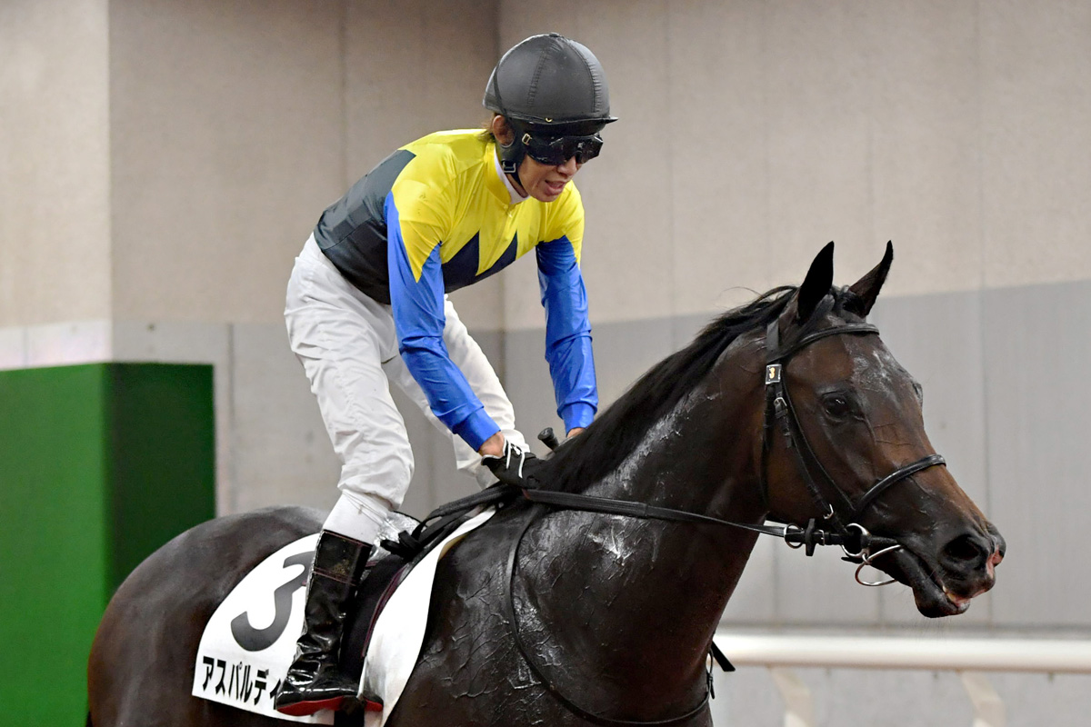 一族は新馬戦が苦手！？ 3冠牝馬アパパネの子アスパルディーコは6着