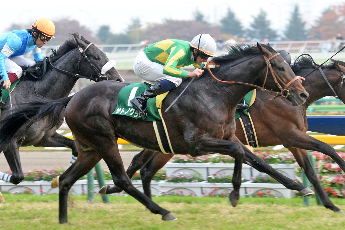 サトノクラウン 東京スポーツ杯２歳 現地単勝馬券♪ 札幌2歳S・展開のカギ】スピードよりパワー優先！サトノクラウン産駒