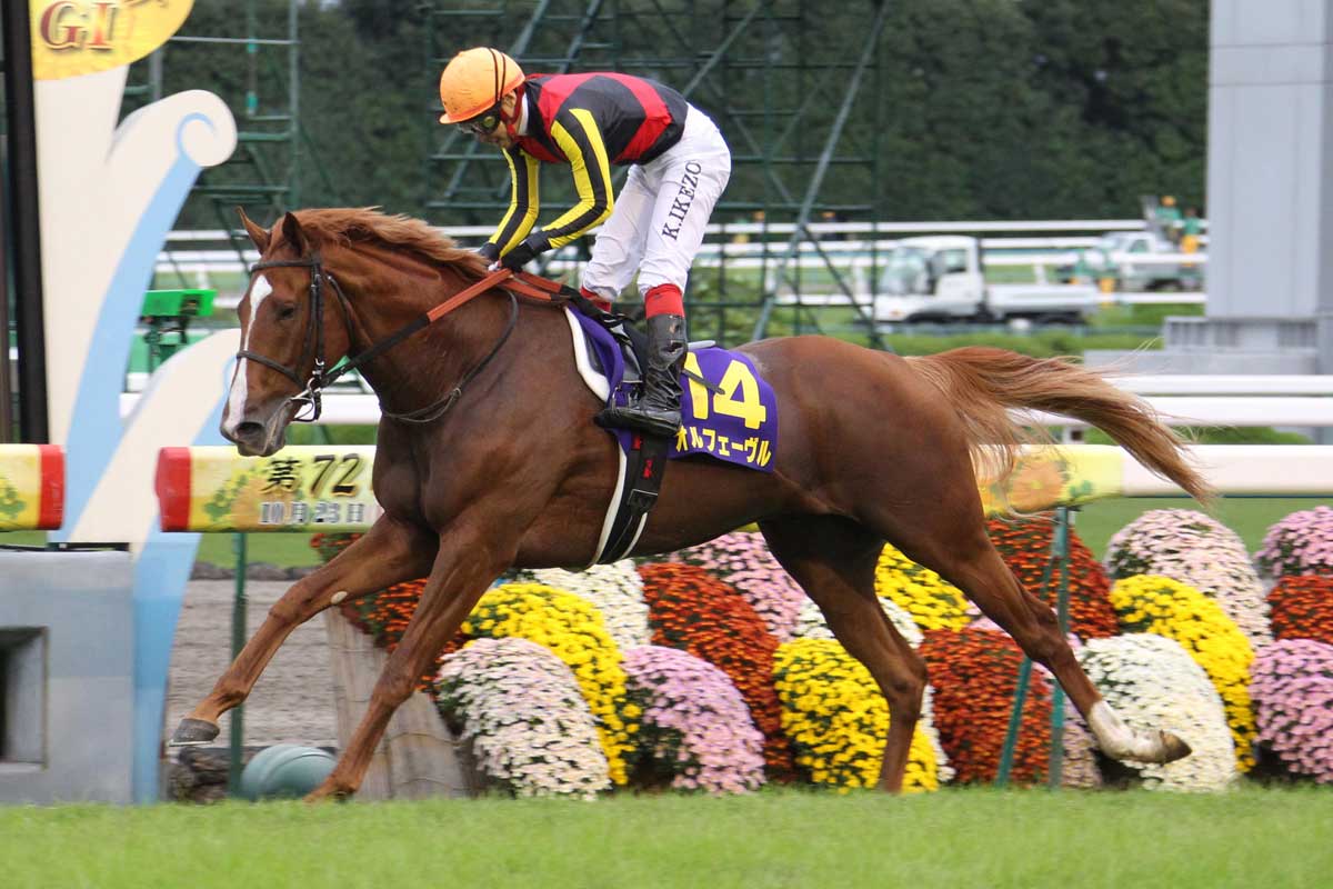匿名送料無料 懐かしの単勝馬券 ☆オルフェーヴル他全馬 全出走16頭 第 