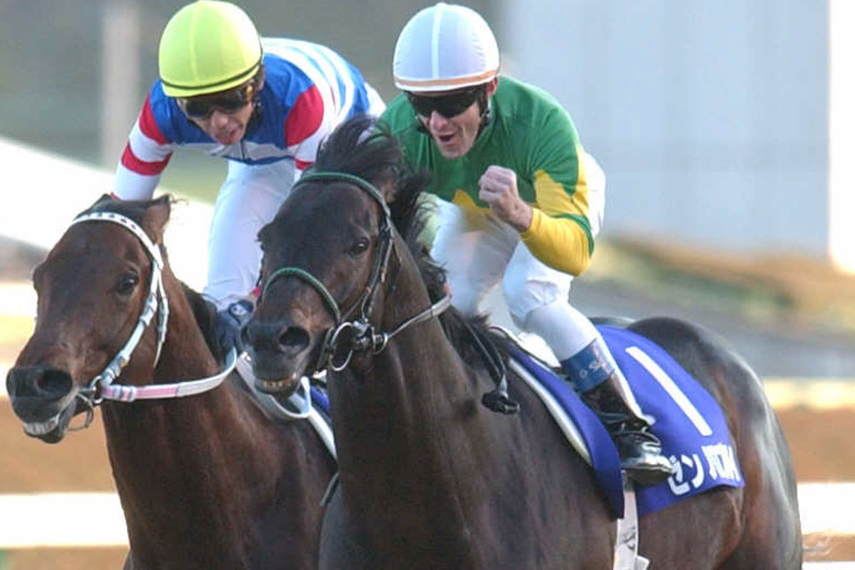 ゼンノロブロイ死す 04年に秋の古馬GⅠ3連勝「苦しむこともなく