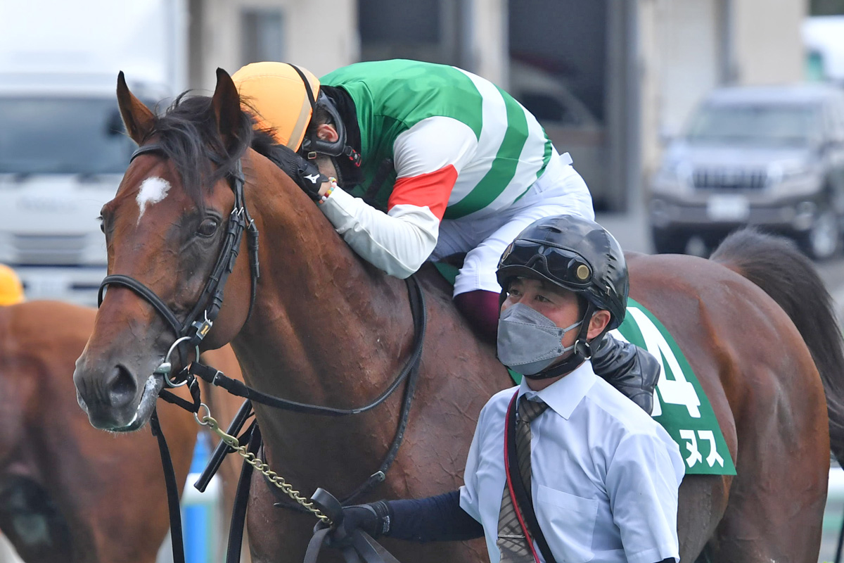 京成杯ａｈ展望 トップハンデタイの５７キロもベレヌスに サマーマイルシリーズ 制覇の絶好機 競馬ニュース 特集なら東スポ競馬