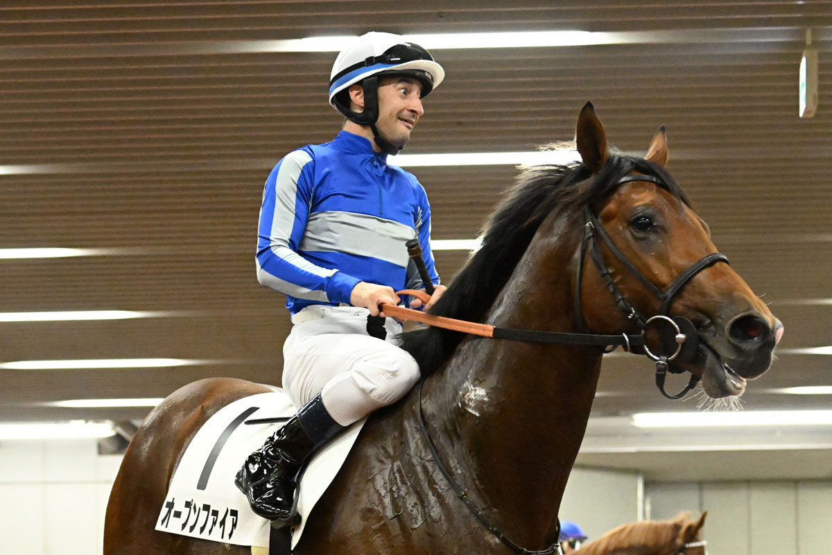 ２歳戦フラッシュ ディープインパクト産駒 最終世代 オープンファイアが衝撃の末脚 競馬ニュース 特集なら東スポ競馬