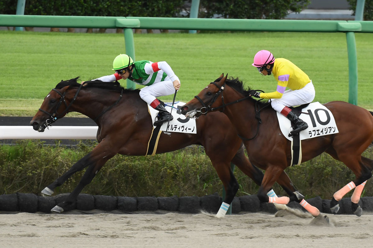 ２歳新馬 ３番人気イルディヴィーノが逃げ切りｖ ルメール まだ子供っぽいですが よく伸びてくれました 競馬ニュース 特集なら東スポ競馬