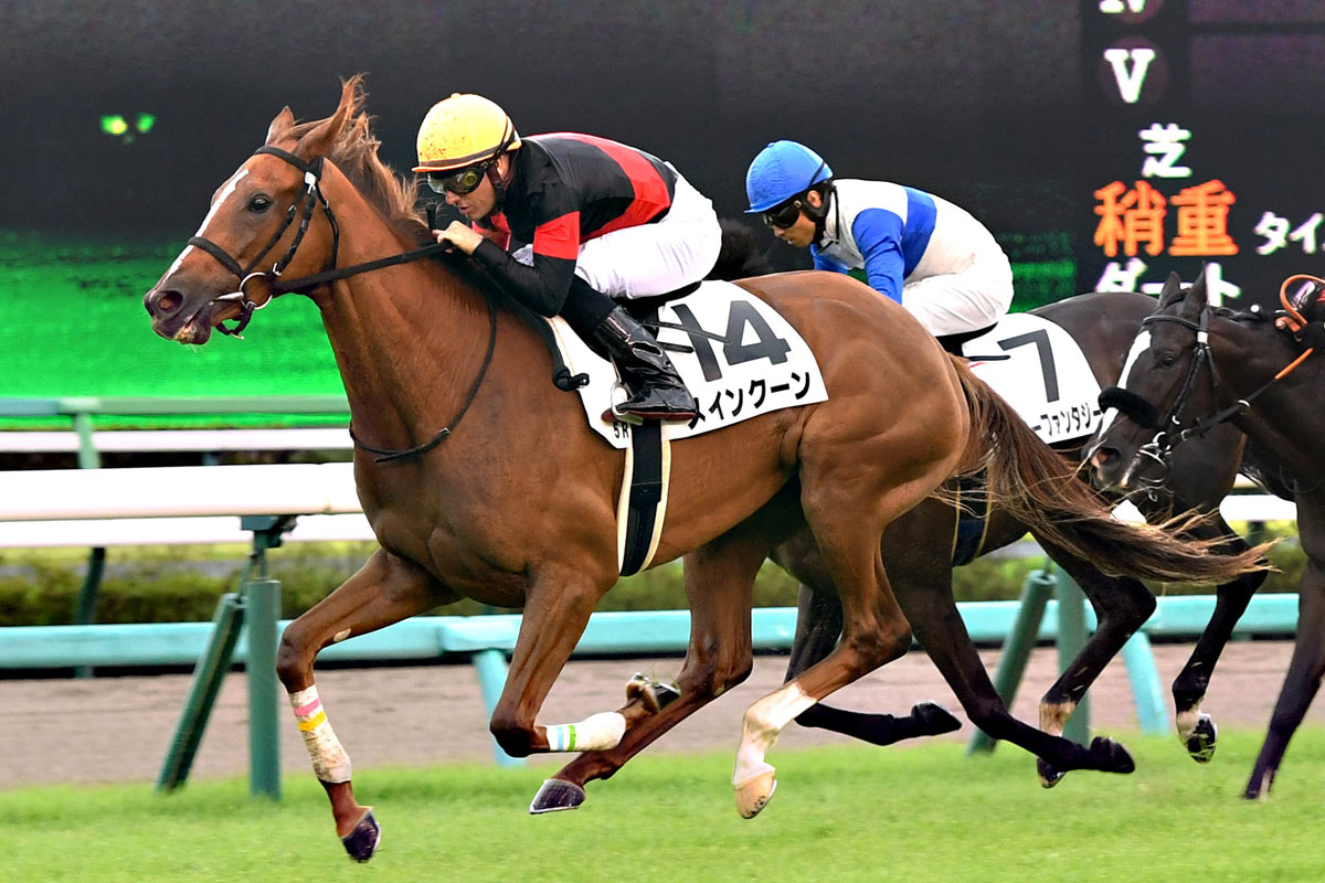 ２歳新馬 ハーツクライ産駒メインクーンが豪快に差し切りｖ ｍ デムーロ 最後はしっかり伸びてくれました 競馬ニュース 特集なら東スポ競馬
