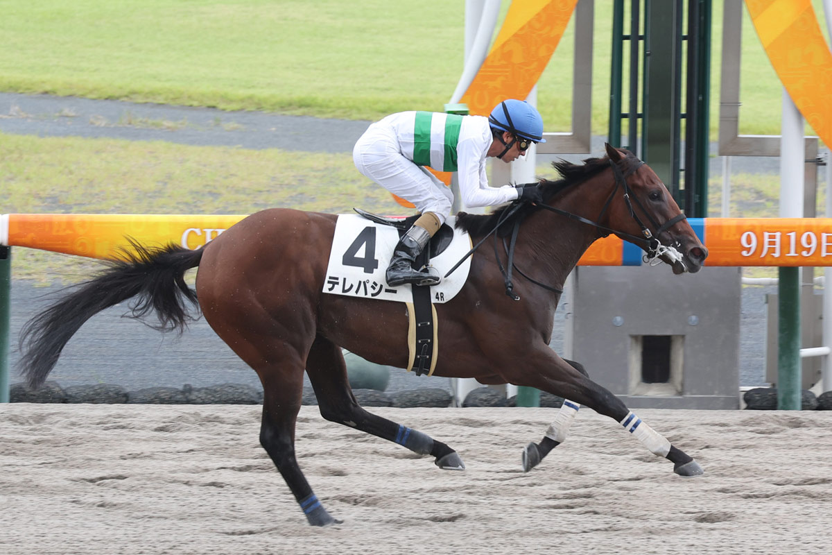 ２歳新馬 ドレフォン産駒のテレパシーが上がり最速で快勝 和田竜 これから伸びしろもあると思う 競馬ニュース 特集なら東スポ競馬