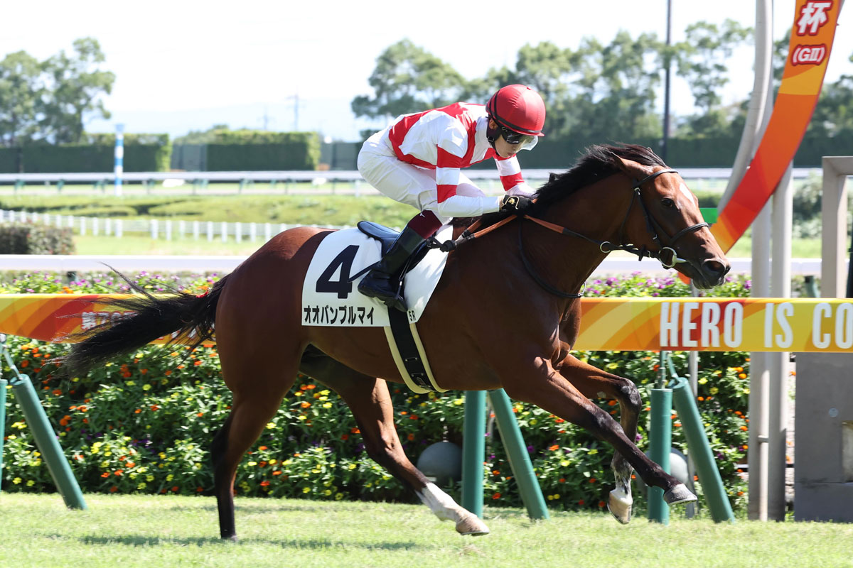 ２歳新馬 オオバンブルマイがデビュー勝ち 角田河 最後は進路を探しながらよく伸びてくれました 競馬ニュース 特集なら東スポ競馬