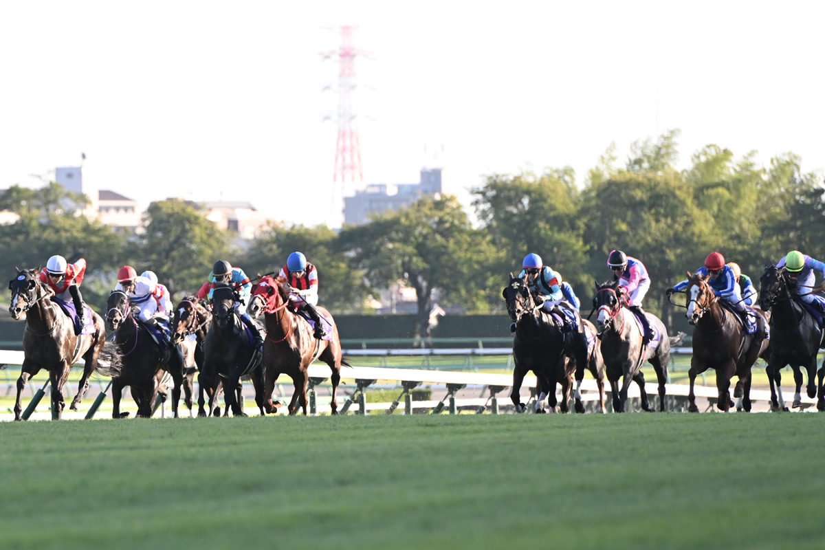 スプリンターズS一覧 | 競馬ニュース・特集なら東スポ競馬