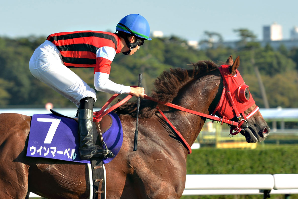 スプリンターズS一覧 | 競馬ニュース・特集なら東スポ競馬