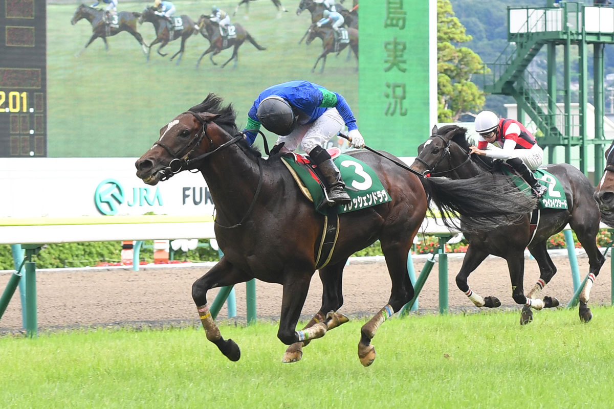 馬名の由来はアイドルグループの派生ユニットから 重賞２勝馬クレッシェンドラヴが競走馬登録抹消 競馬ニュース 特集なら東スポ競馬