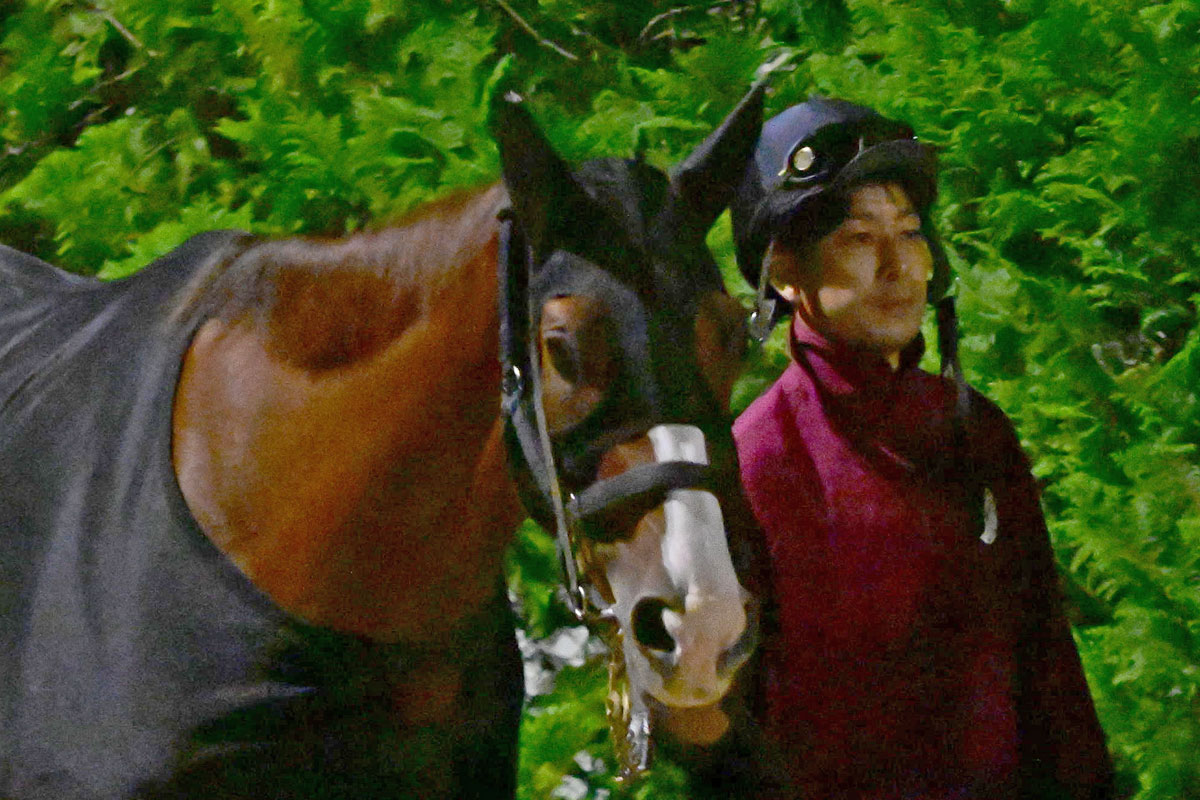 ３歳戦フラッシュ アートハウスがオークスに向けて期待が高まる勝利 ジャングロは３連勝で重賞初制覇 競馬ニュース 特集なら東スポ競馬