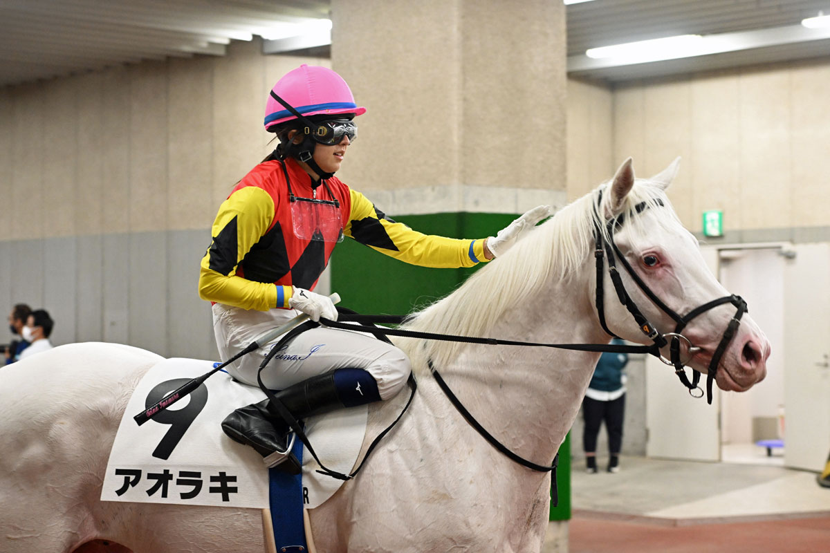 新潟競馬】今村聖奈が白毛馬アオラキとの初コラボ 追い上げ届かずの4