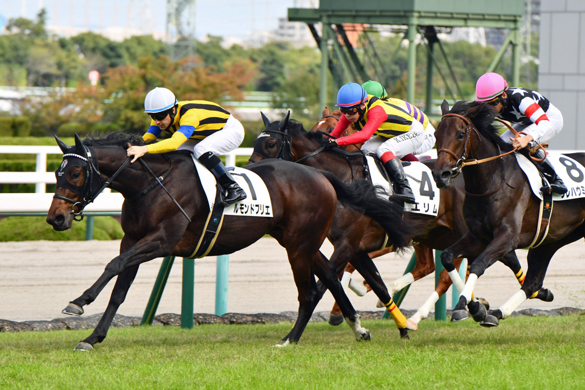 【2歳新馬】ラクレソニエールの子ルモンドブリエが勝ち上がり ルメール「馬の間に入っていい反応をしてくれました」 | 競馬ニュース・特集なら東スポ競馬