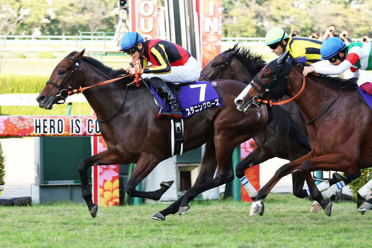 秋華賞 スタニングローズがラスト１冠を制す デビュー７年目で初ｇ の坂井 夢に見た舞台 もう最高でしたね 競馬ニュース 特集なら東スポ競馬