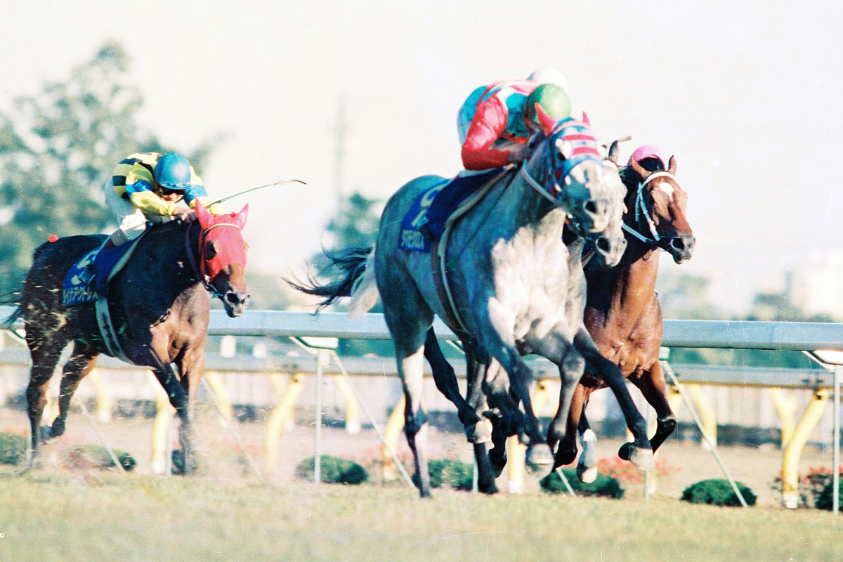 競馬　レープロ　1988年　天皇賞秋　１着タマモクロス、２着オグリキャップ