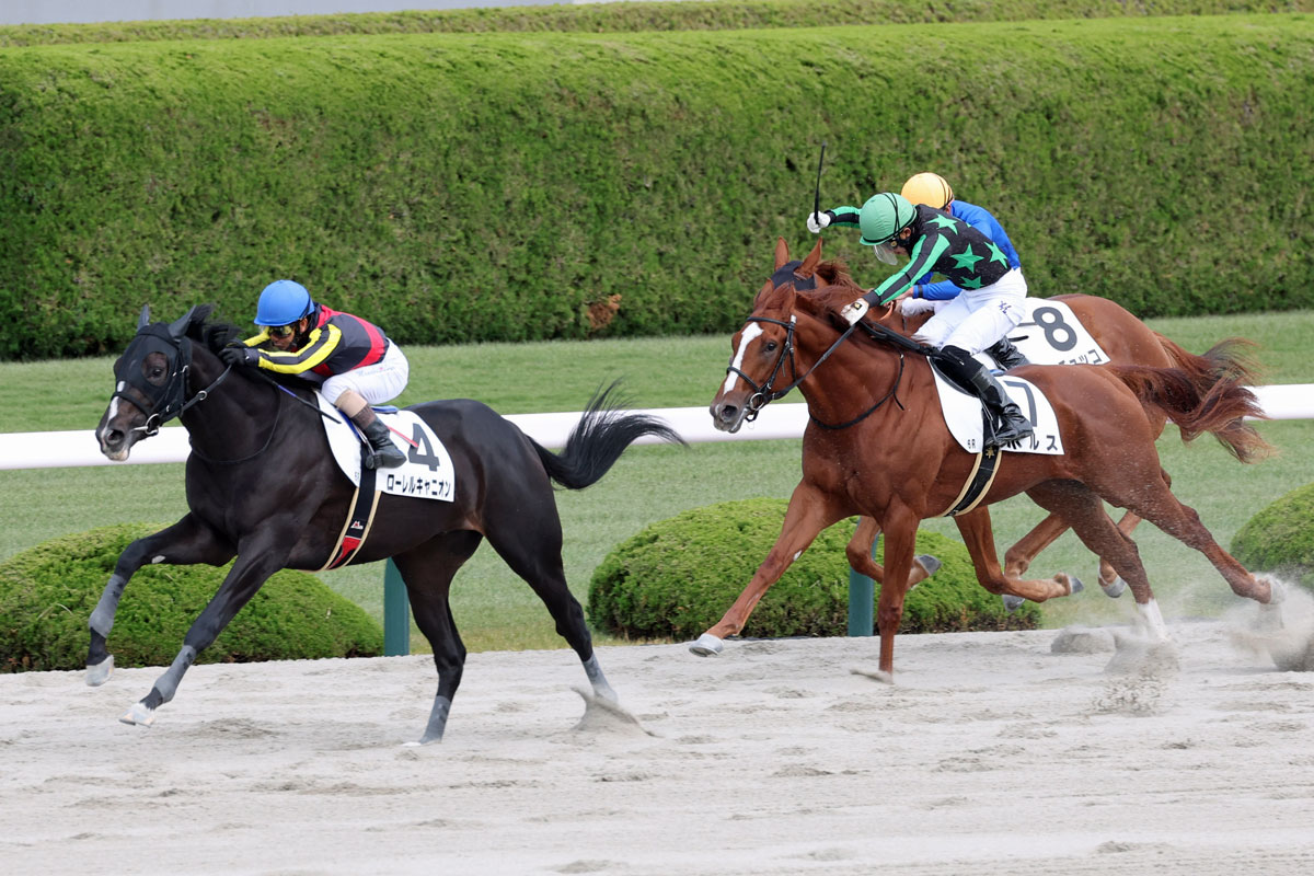 ２歳新馬 ローレルキャニオンがロングスパートでデビュー勝ち 酒井 併せ馬の形ならグンと伸びたと思います 競馬ニュース 特集なら東スポ競馬