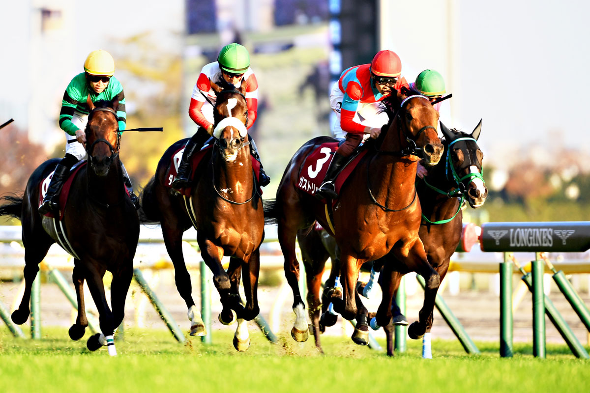 東スポ杯２歳ｓ結果 コメント １番人気ハーツコンチェルトは３着 松山 １歩目を出れなくて 競馬ニュース 特集なら東スポ競馬