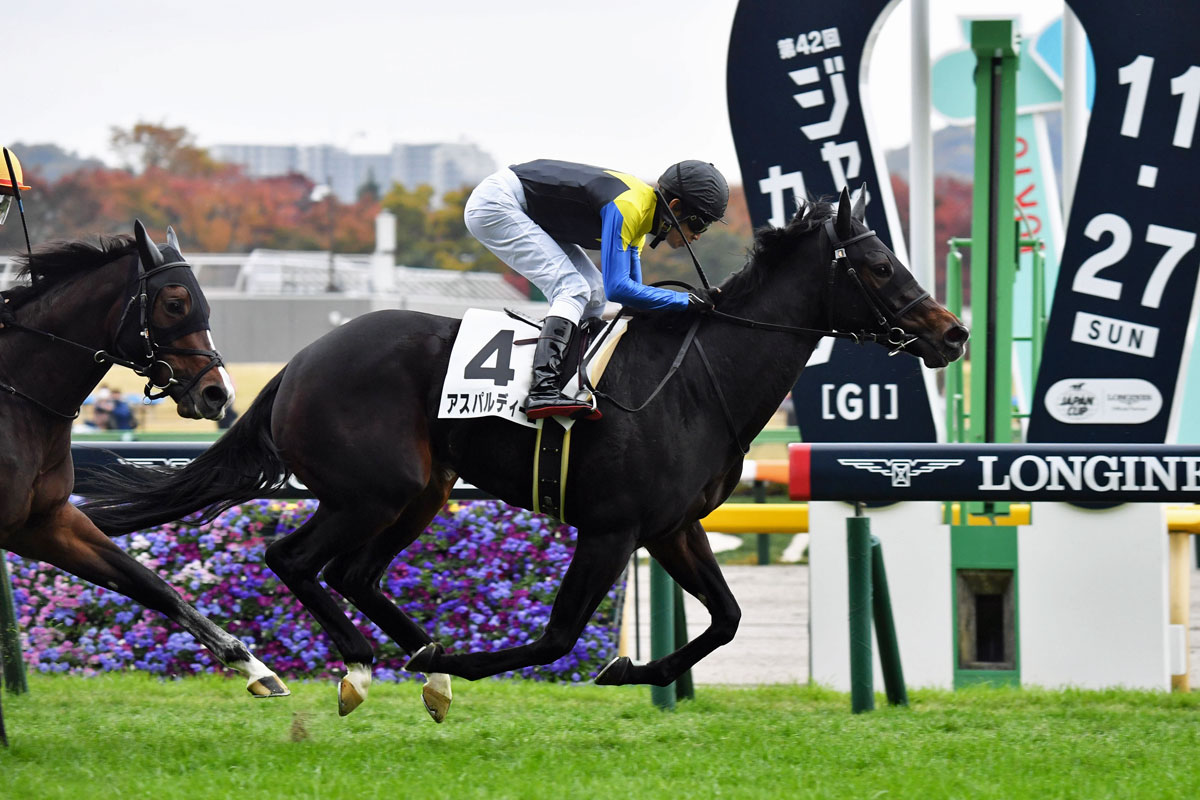 東京競馬】3冠馬アパパネの子アスパルディーコが初勝利 蛯名正義調教