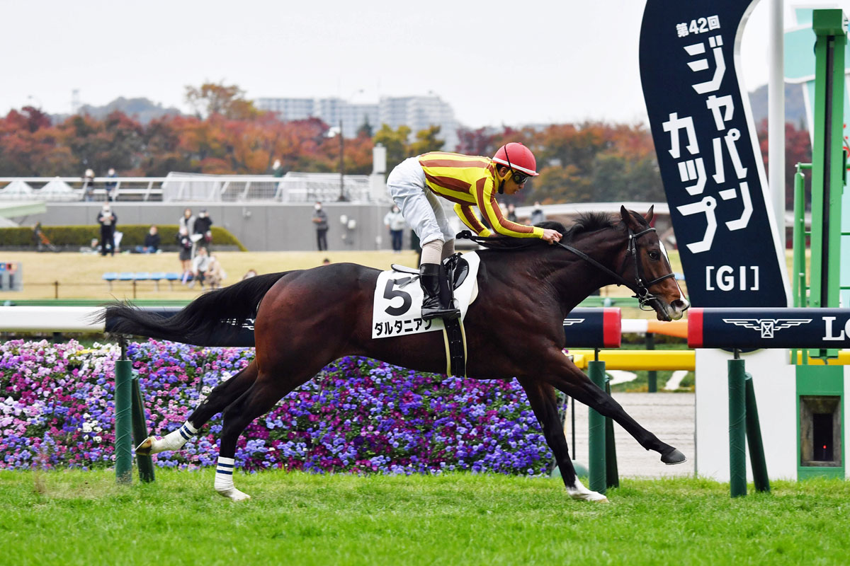 ２歳新馬 ダルタニアンが力強く伸びて快勝 木幡巧 初戦からはどうかと思っていたんですが 競馬ニュース 特集なら東スポ競馬