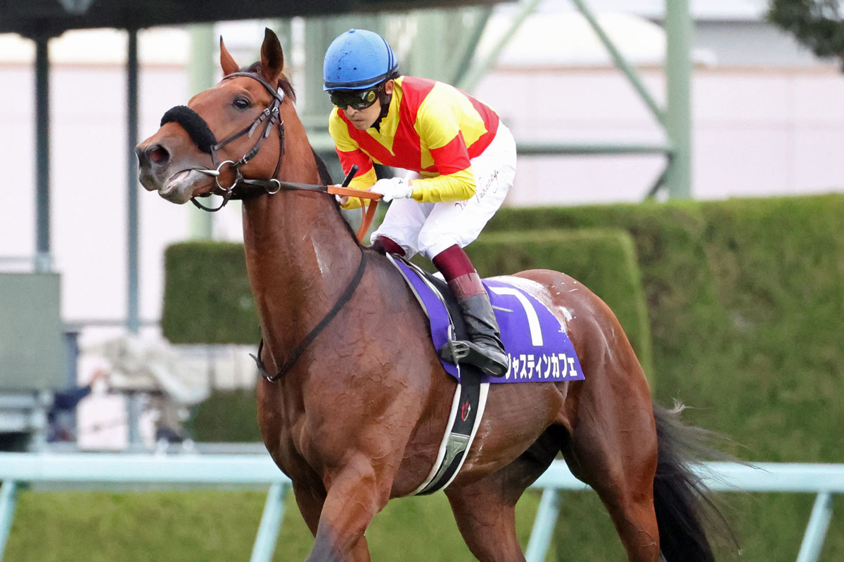マイルCS】内を強襲したジャスティンカフェは悔い残る6着 福永