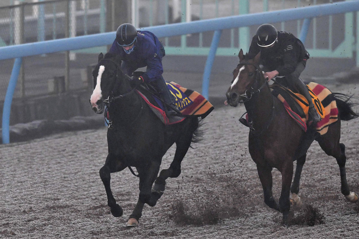 有馬記念・1週前追い切り】イクイノックス「またパワーアップ。とても