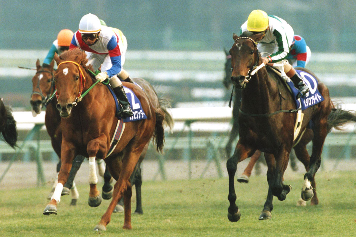 グラスワンダー 有馬 記念