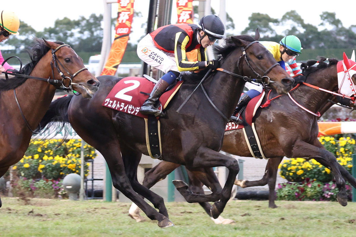 日経新春杯】ヴェルトライゼンデが快勝 JRA重賞初Vのイーガンは