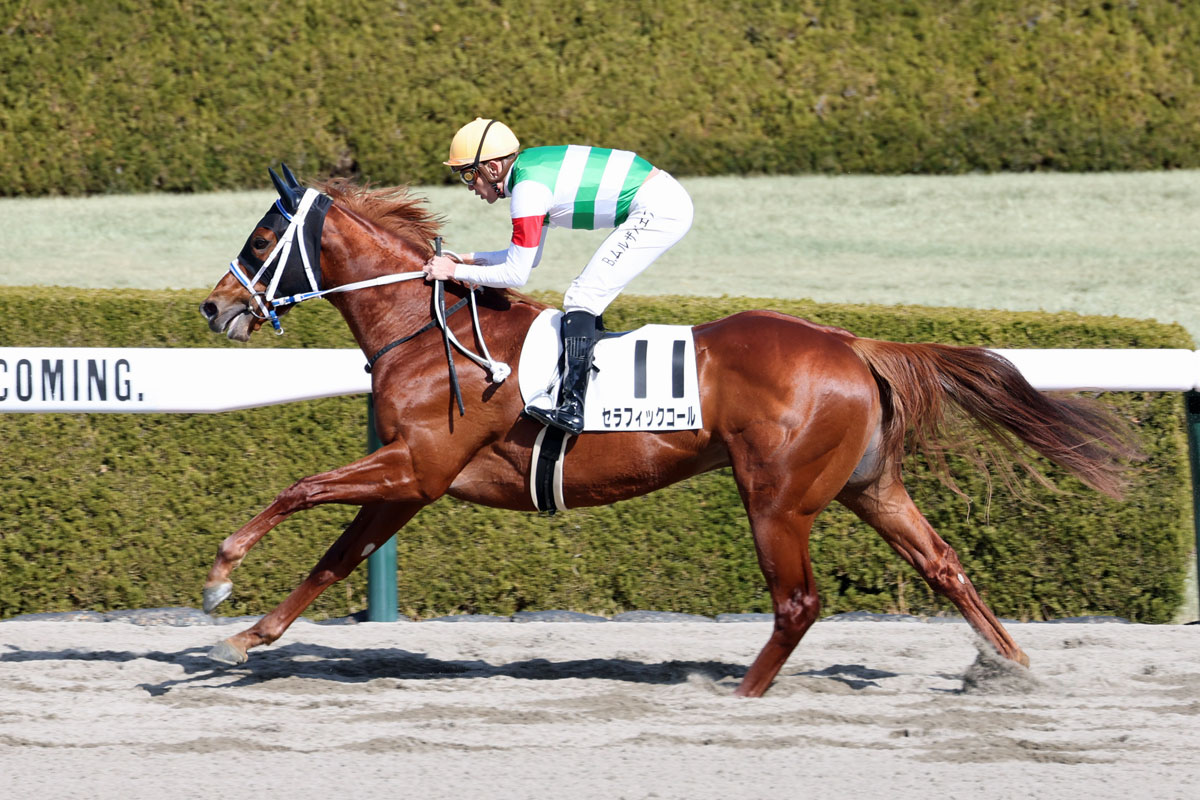 3歳新馬】セラフィックコールが初陣V 8馬身差圧勝にもムルザバエフ