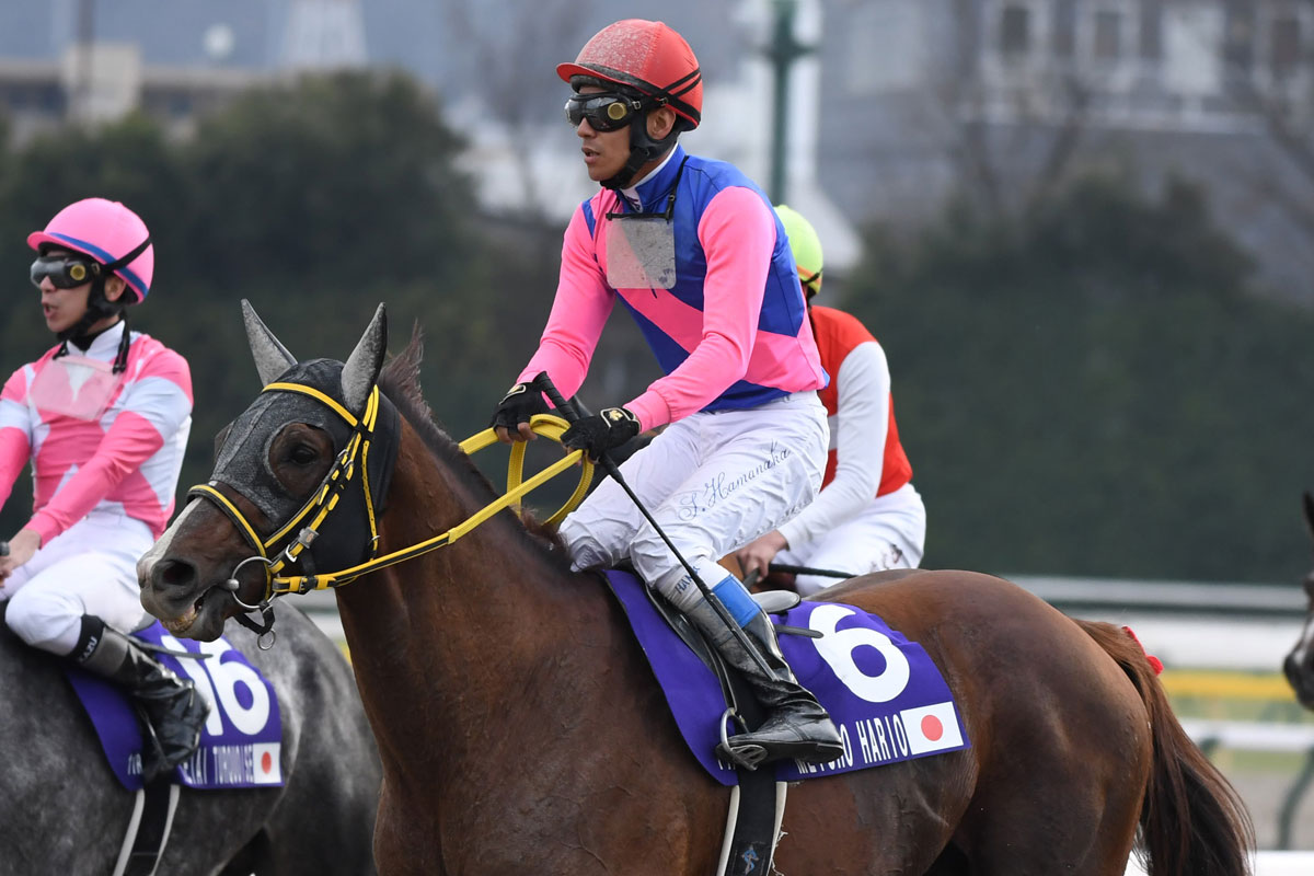 ※値下げ中 種牡馬 メイショウハリオ ブルゾン ジャケット 競馬 値下げ中 種牡馬 メイショウハリオ ブルゾン ジャケット 競馬 - メルカリ